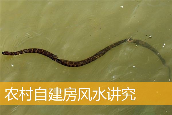 农村自建房风水讲究