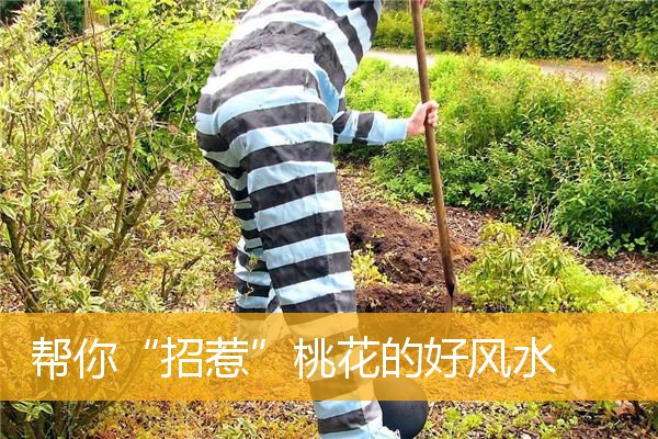 帮你“招惹”桃花的好风水