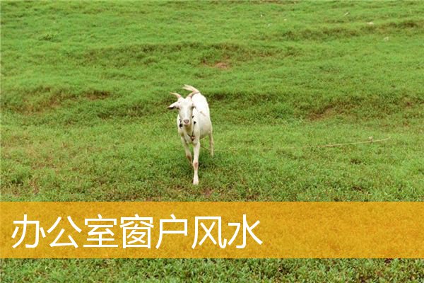 办公室窗户风水