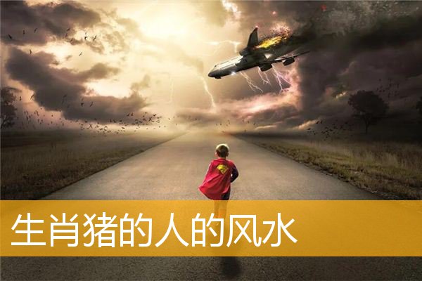 生肖猪的人的风水