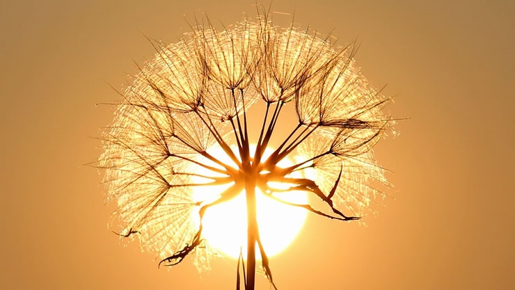 紫微斗数看谁是你生命中的小太阳！