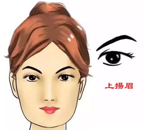 面相解析：圆眼之人搭配何种眉型易招桃花？
