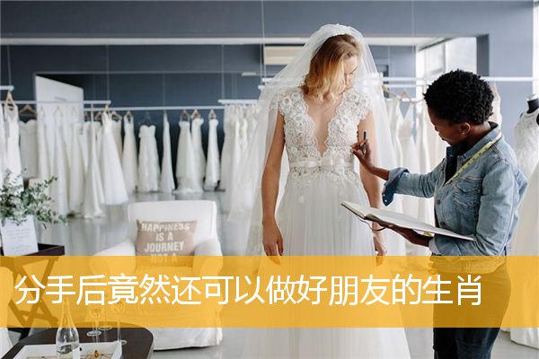 分手后竟然还可以做好朋友的生肖