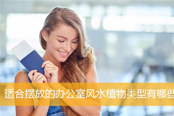 适合摆放的办公室风水植物类型有哪些