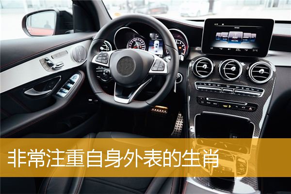 非常注重自身外表的生肖