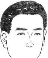 十六种鼻子面相图文分析，看看你财运如何？