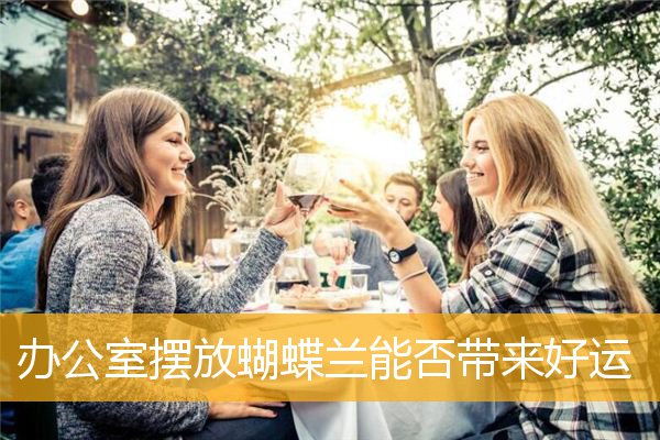 办公室摆放蝴蝶兰能否带来好运