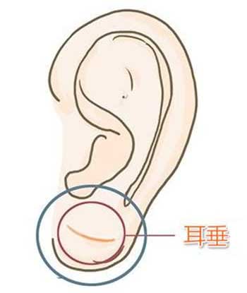 命理师：如何把耳朵细小不好的相改为好相？