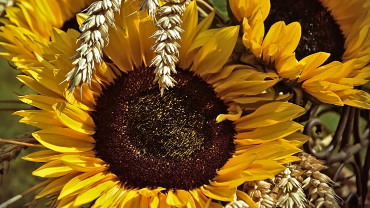 付出三分得到七分！2022这些命格收获满满