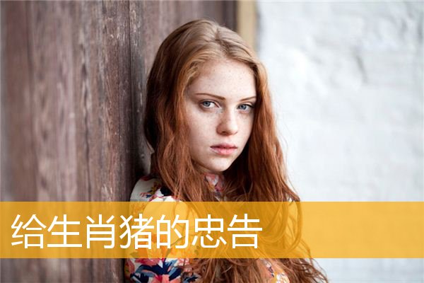 给生肖猪的忠告