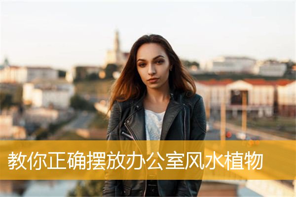教你正确摆放办公室风水植物