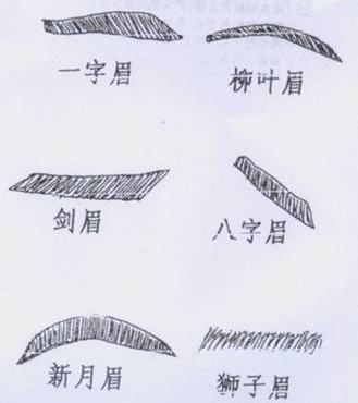 阅人三十六术之四:眉毛