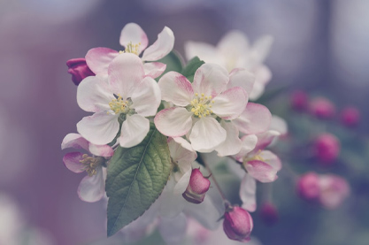 赵姓缺水缺火的女孩名字 女孩温柔文静诗意名字