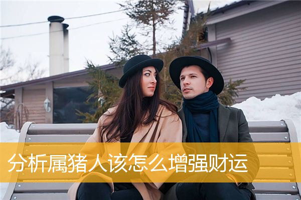 分析属猪人该怎么增强财运