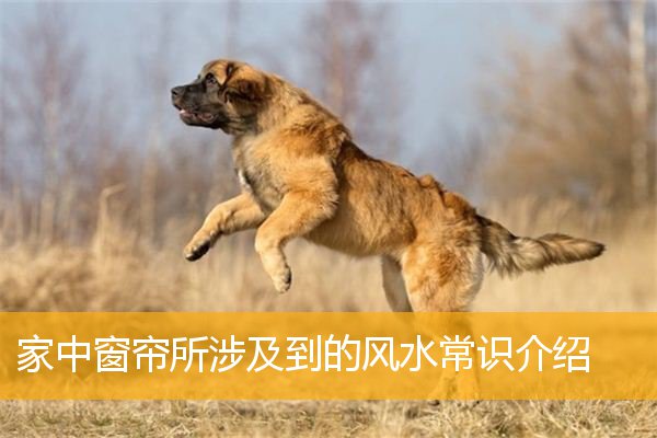 家中窗帘所涉及到的风水常识介绍