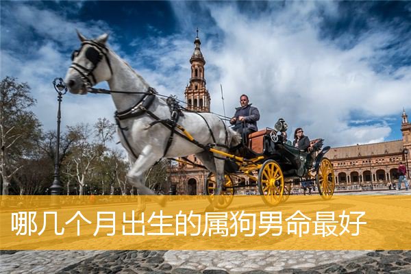 哪几个月出生的属狗男命最好