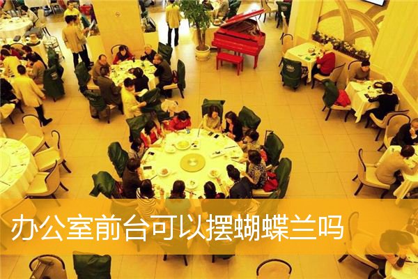 办公室前台可以摆蝴蝶兰吗