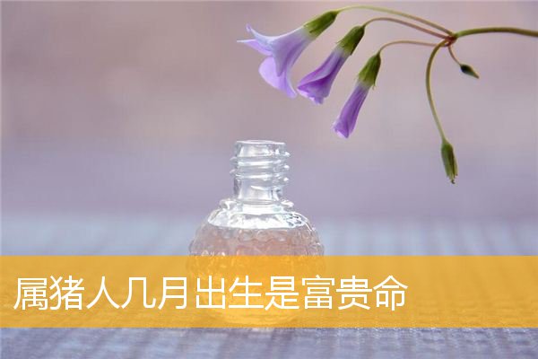 属猪人几月出生是富贵命