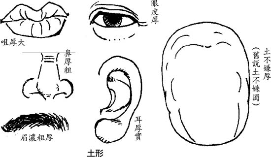 什么脸型的人胖点反而会有好运气出现？