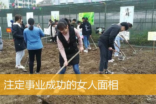 注定事业成功的女人面相