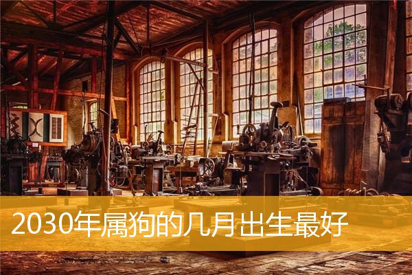 2030年属狗的几月出生最好