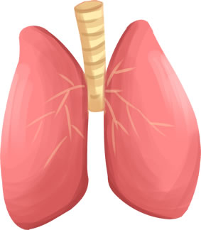 从相学特征看疾病,早知道早预防