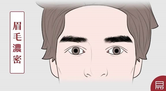 何为“眉清目秀”？老易带你读《麻衣神相·神异赋》