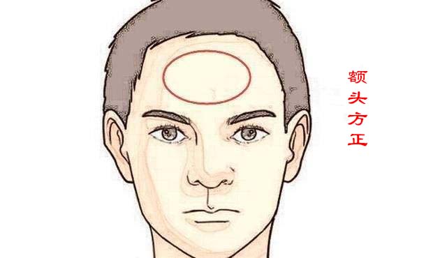 面相看哪些人天生具有“学霸”特质