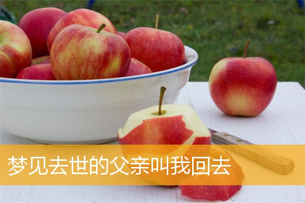 梦见去世的父亲叫我回去