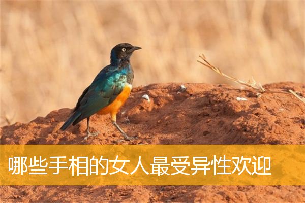 哪些手相的女人最受异性欢迎