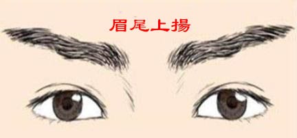 困境中的坚强者，有哪些面相特征？