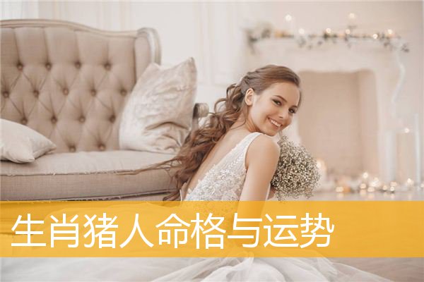 生肖猪人命格与运势