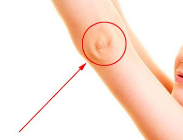 体相看哪些人事业会做很大,更容易发达