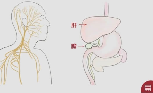这个部位气色好,平安吉祥无病灾!老易带你读《麻衣神相·神异赋》