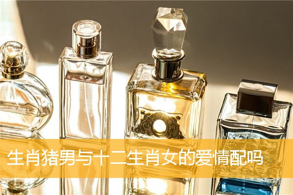 生肖猪男与十二生肖女的爱情配吗