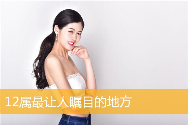 12属最让人瞩目的地方