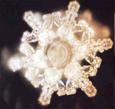 “爱、感谢、感恩”是宇宙的核心