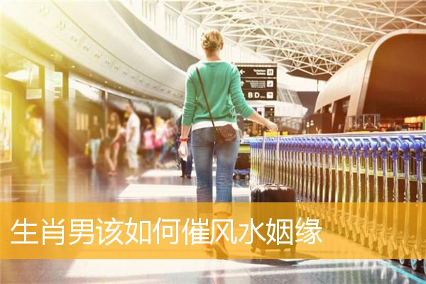 生肖男该如何催风水姻缘