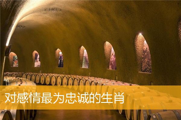 对感情最为忠诚的生肖