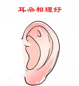 面相看啥样的人能得到祖荫惠及