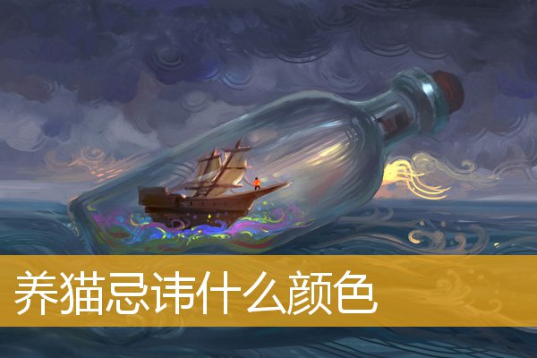 养猫忌讳什么颜色