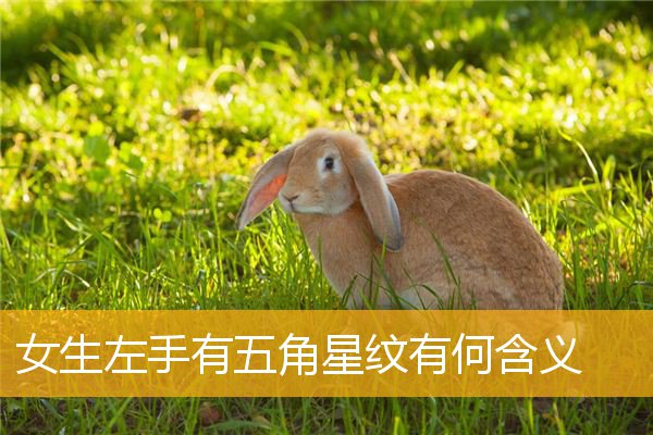 女生左手有五角星纹有何含义