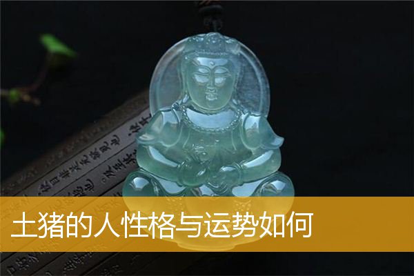 土猪的人性格与运势如何