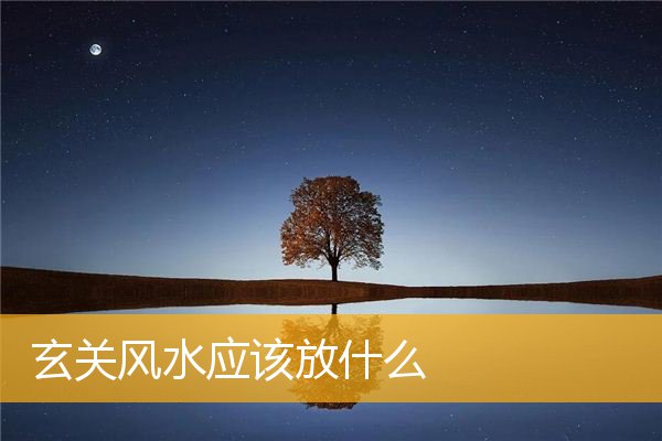 玄关风水应该放什么