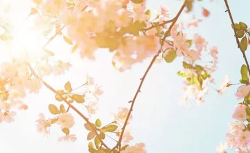 公司名大气又旺财 企业取独特个性的名字