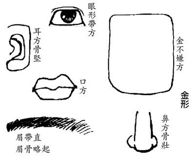 什么脸型的人胖点反而会有好运气出现？