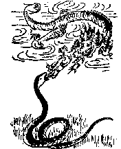 推背图第四十八象 辛亥 离下乾上 同人 外太空文明入侵的预言