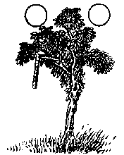 推背图第二十七象 庚寅 乾下震上 豫 朱元璋称帝的预言