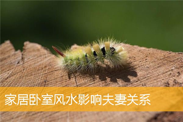 家居卧室风水影响夫妻关系