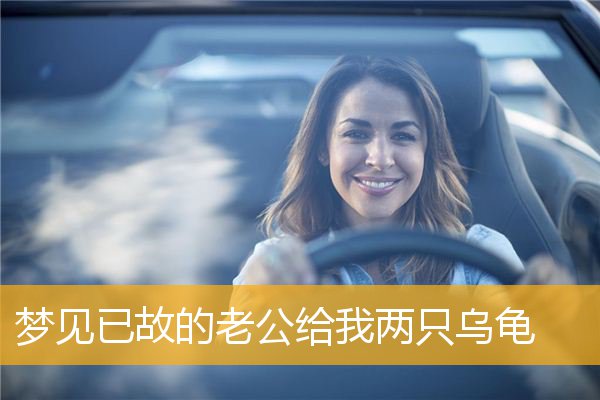 梦见已故的老公给我两只乌龟